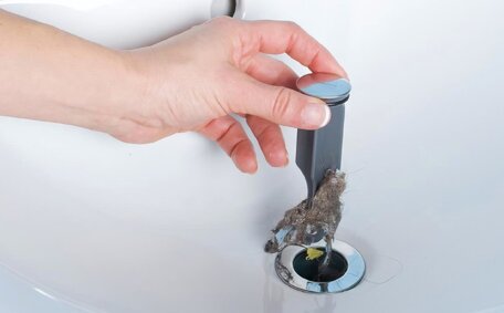 6 Ways Unblock Blocked Shower Drain